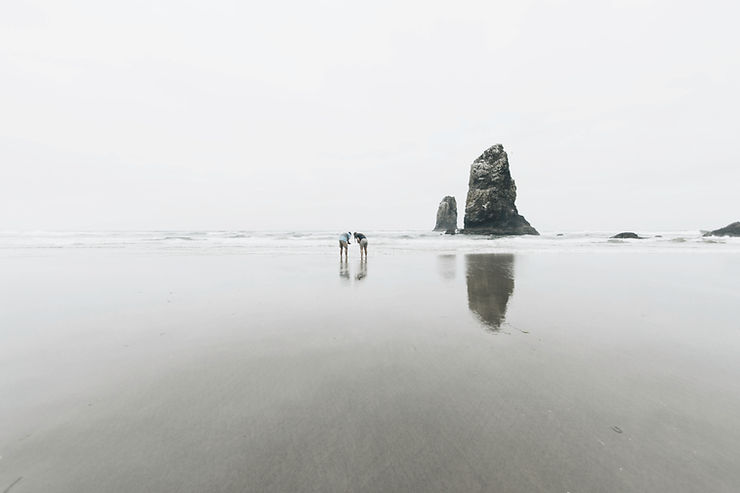 a couple of people walking across a sandy beach.